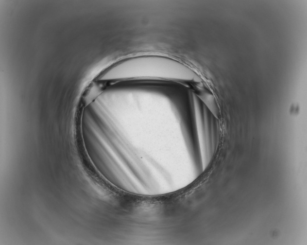 X0000094460248200711291728