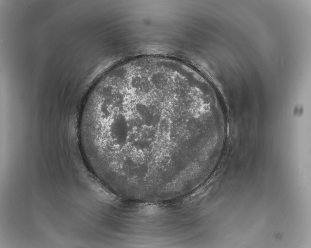 X0000094460249200711291728