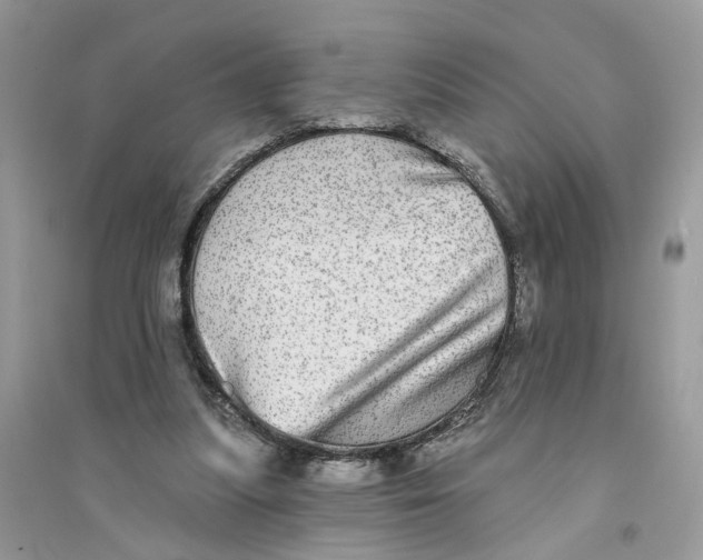 X0000094460251200711291728