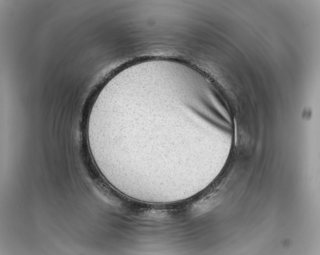 X0000094460252200711291728