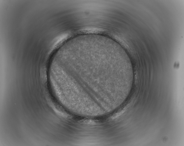 X0000094460254200711291728