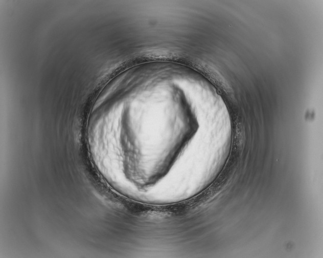 X0000094460255200711291728