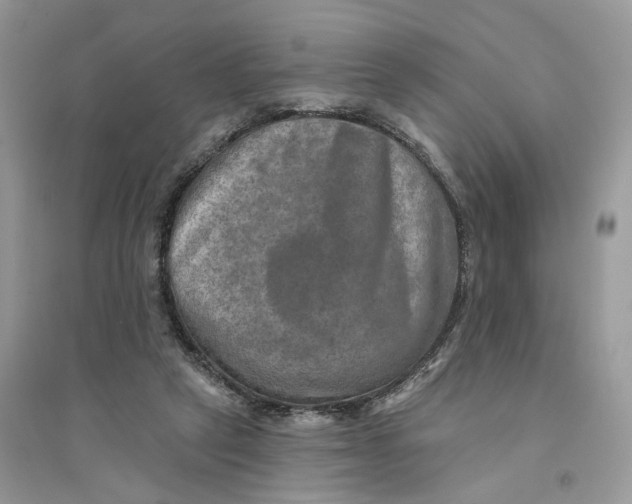 X0000094460257200711291728