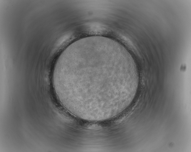 X0000094460258200711291728