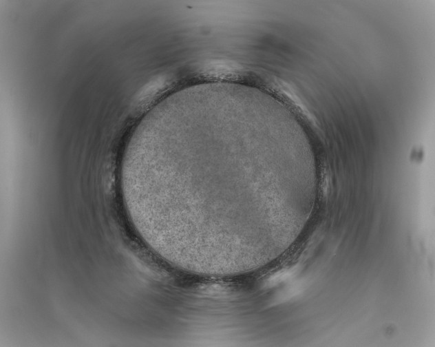 X0000094460259200711291728