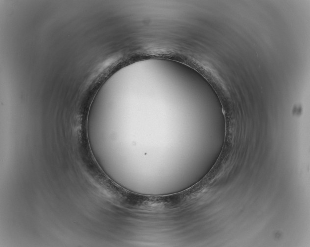 X0000094460260200711291728