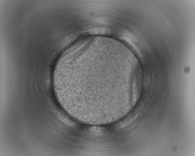 X0000094460261200711291728