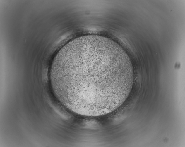 X0000094460262200711291728