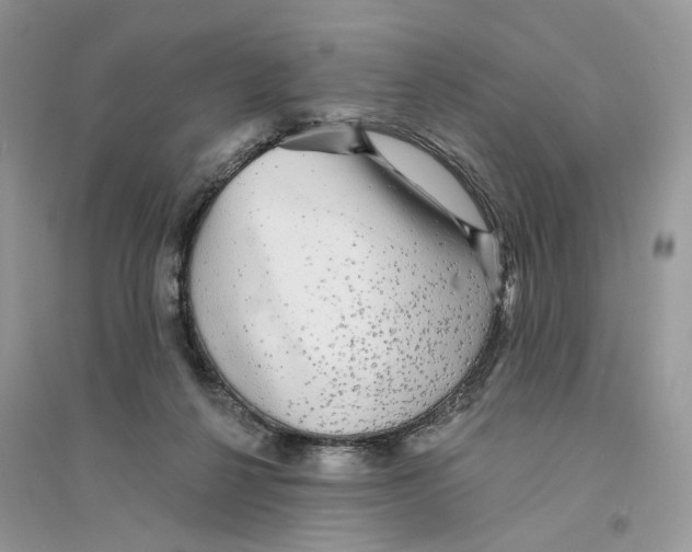 X0000094460264200711291728