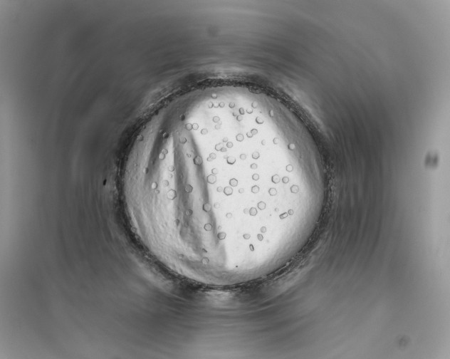 X0000094460265200711291728