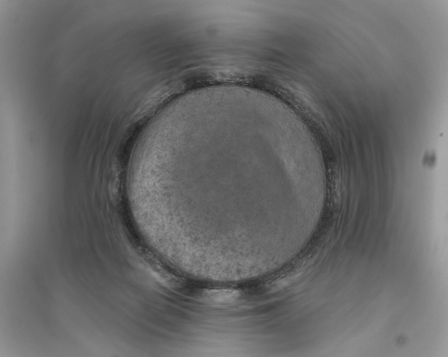 X0000094460266200711291728