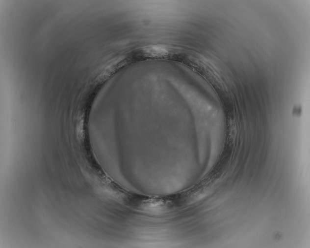 X0000094460267200711291728