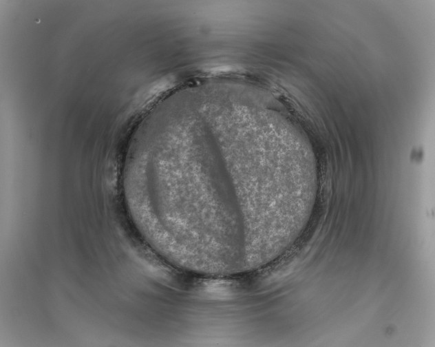 X0000094460268200711291728