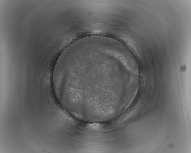 X0000094460269200711291728