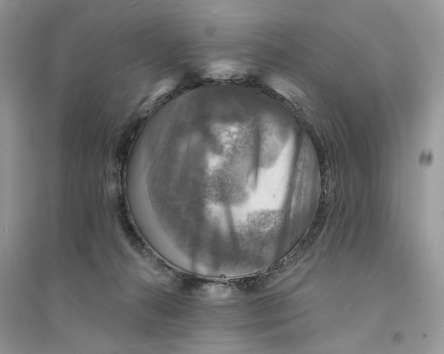 X0000094460272200711291728