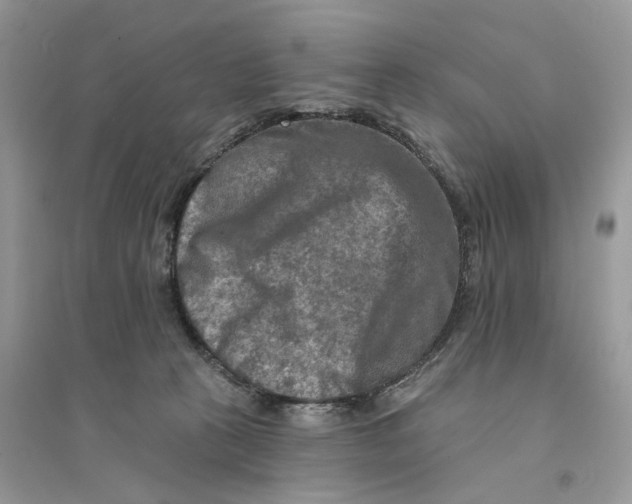 X0000094460273200711291728