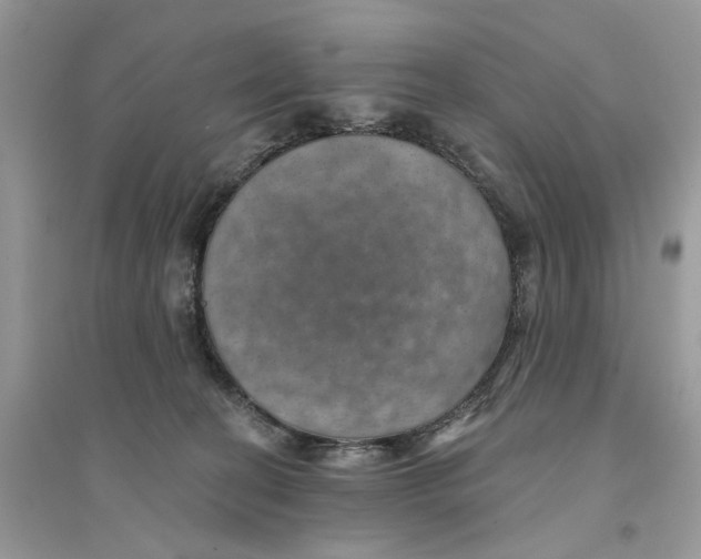 X0000094460274200711291728