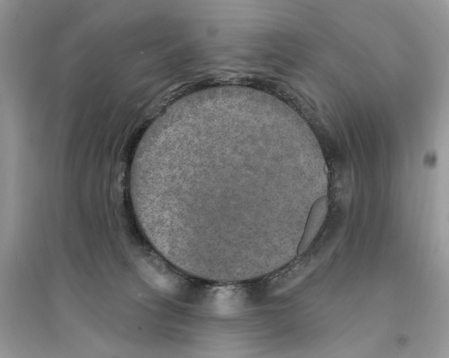 X0000094460275200711291728