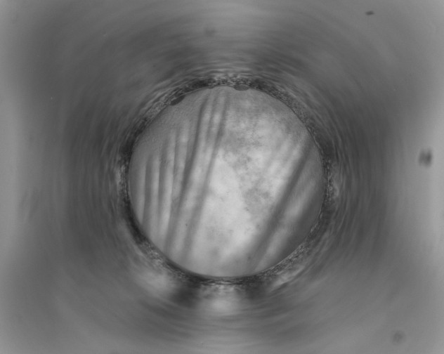 X0000094460276200711291729