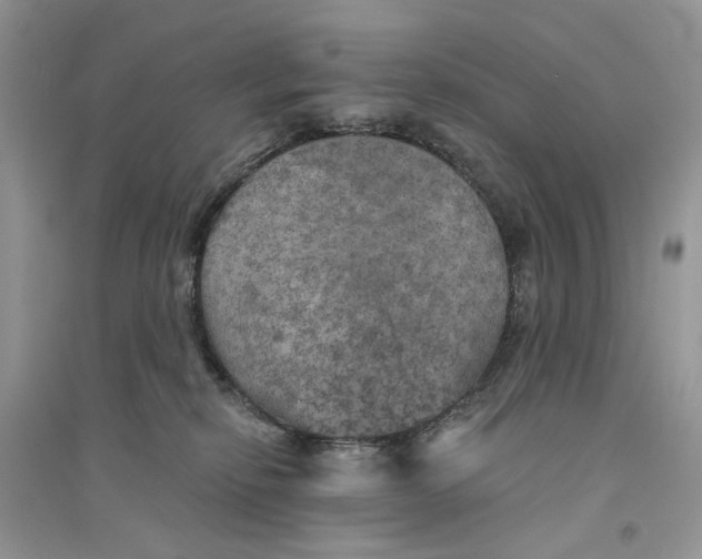 X0000094460278200711291729