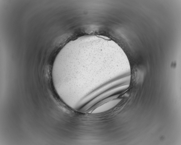 X0000094460280200711291729