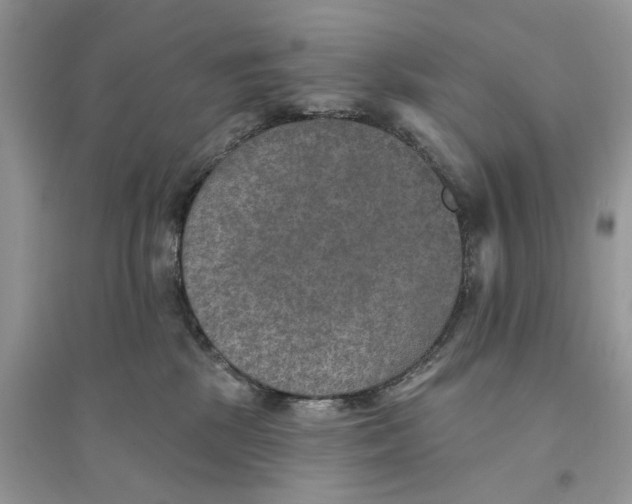 X0000094460281200711291729