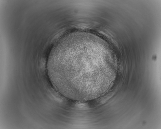 X0000094460283200711291729