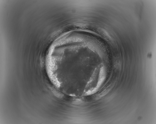 X0000094460285200711291729