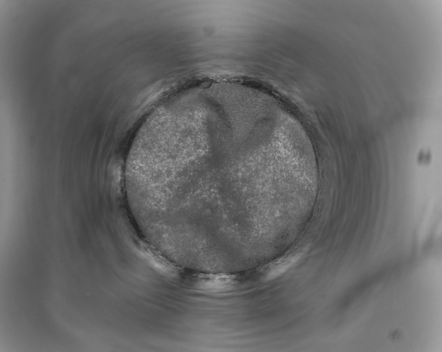 X0000094460288200711291729