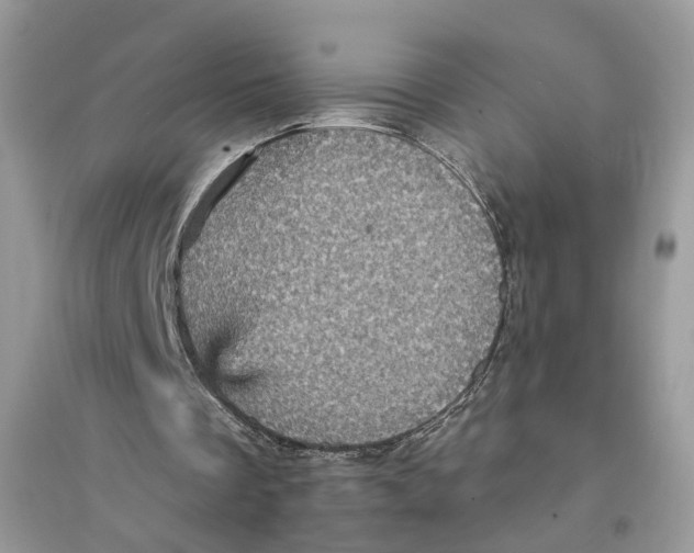 X0000094460289200711291728