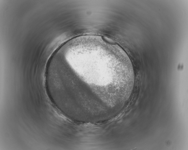 X0000094460290200711291728