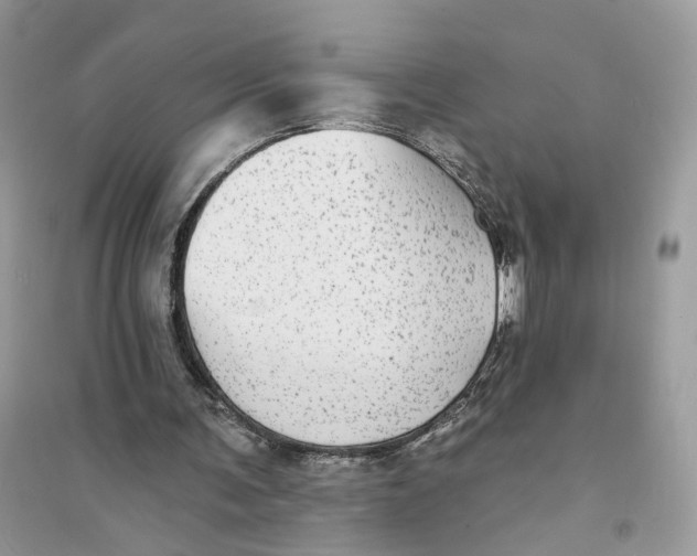 X0000094460291200711291728