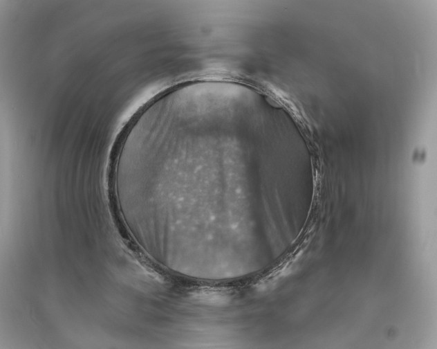 X0000094460292200711291728