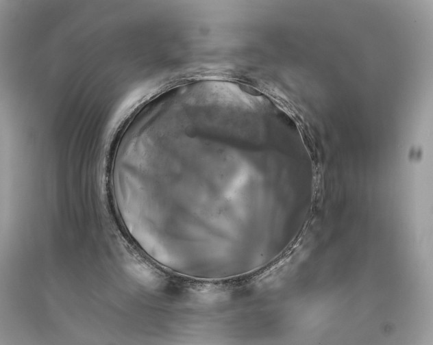 X0000094460293200711291728