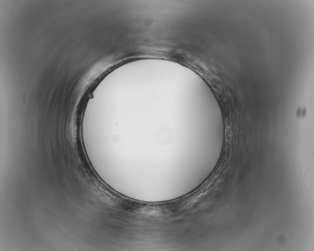 X0000094460294200711291728