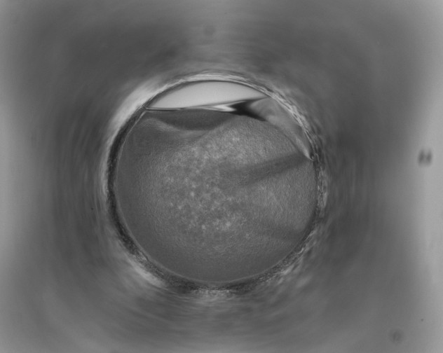 X0000094460296200711291728