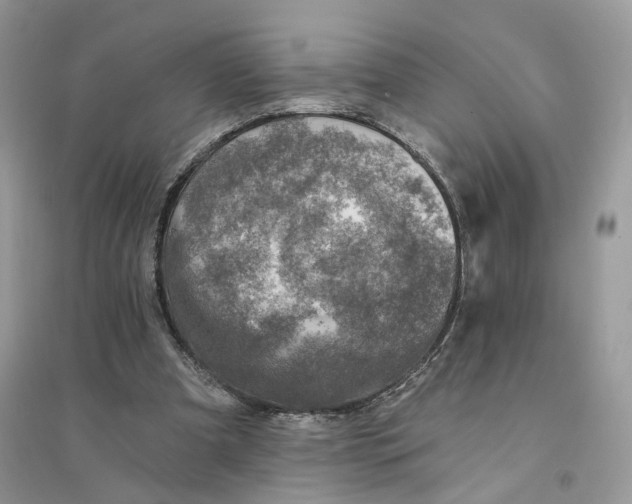 X0000094460297200711291728