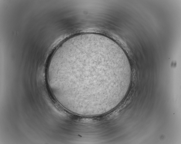 X0000094460298200711291728