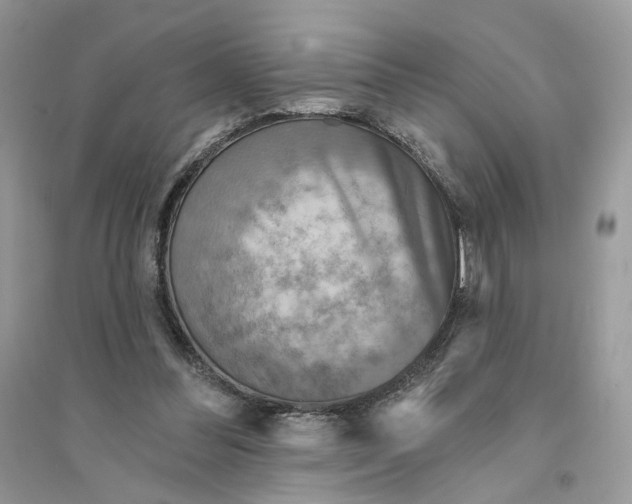 X0000094460300200711291728