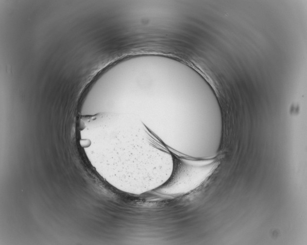 X0000094460301200711291728