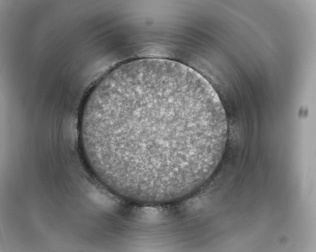 X0000094460302200711291728