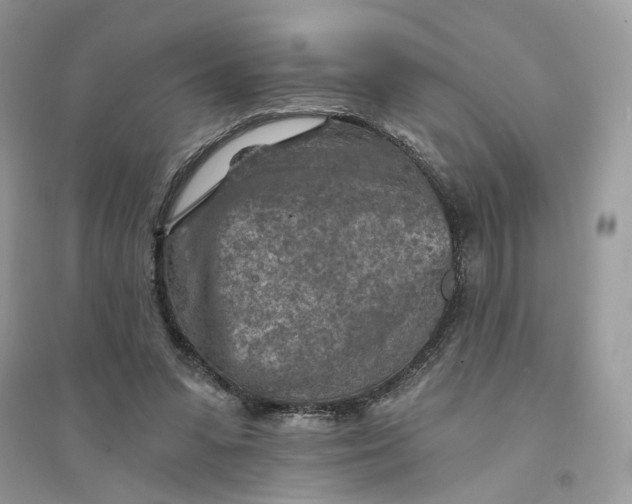 X0000094460303200711291728