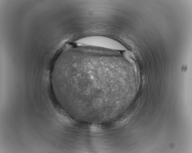 X0000094460308200711291728