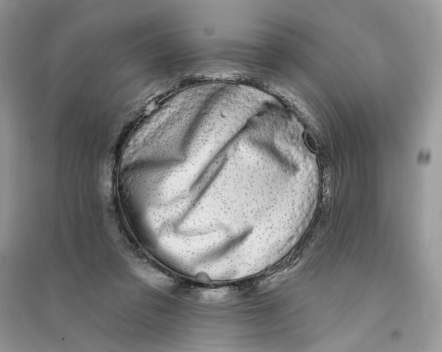 X0000094460309200711291728