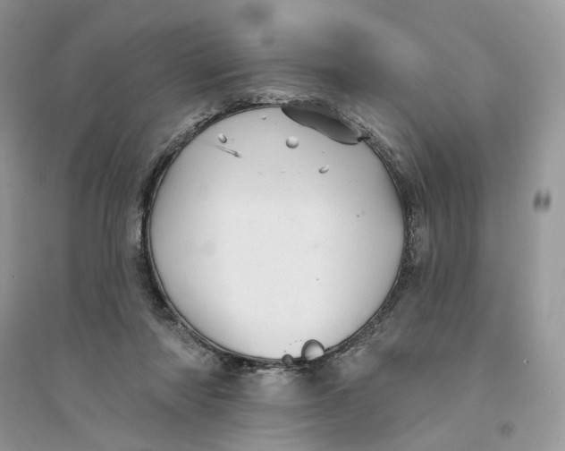 X0000094460310200711291728