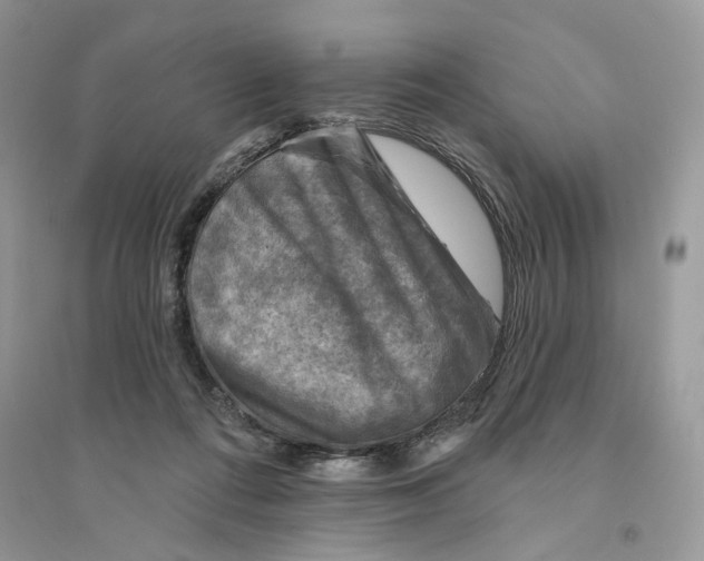 X0000094460312200711291728