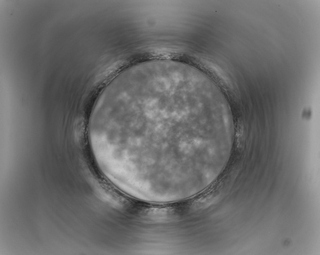 X0000094460314200711291728