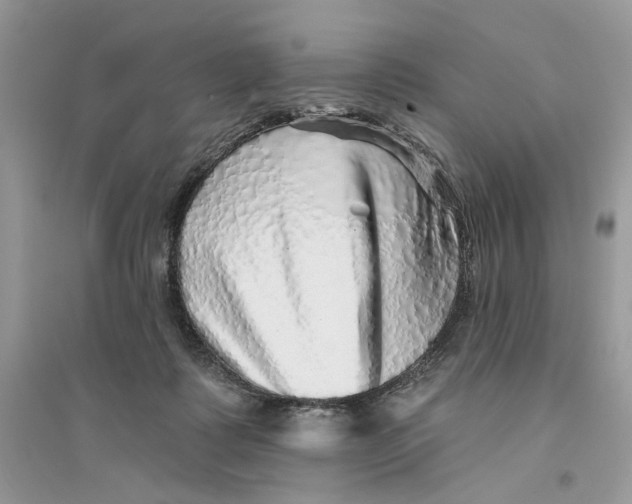 X0000094460315200711291728