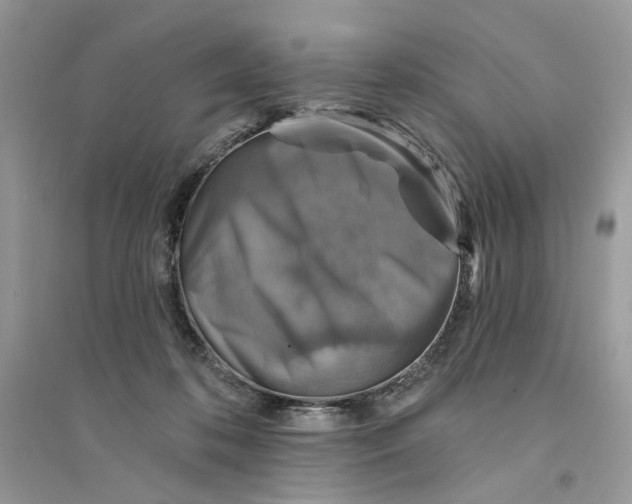 X0000094460316200711291728