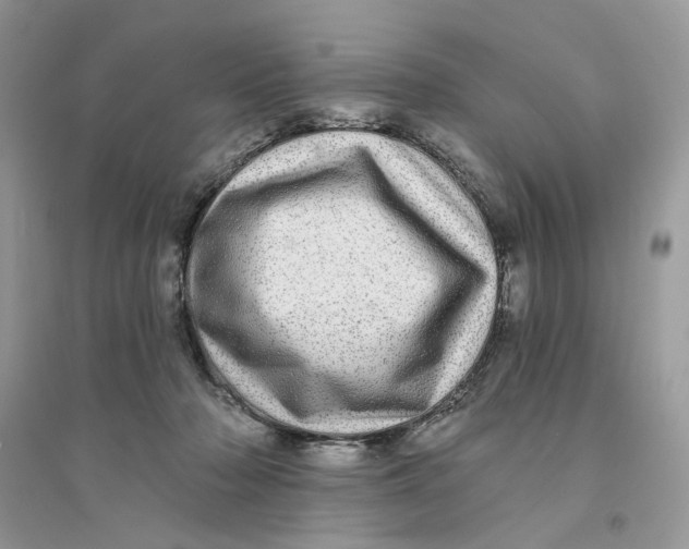 X0000094460318200711291728